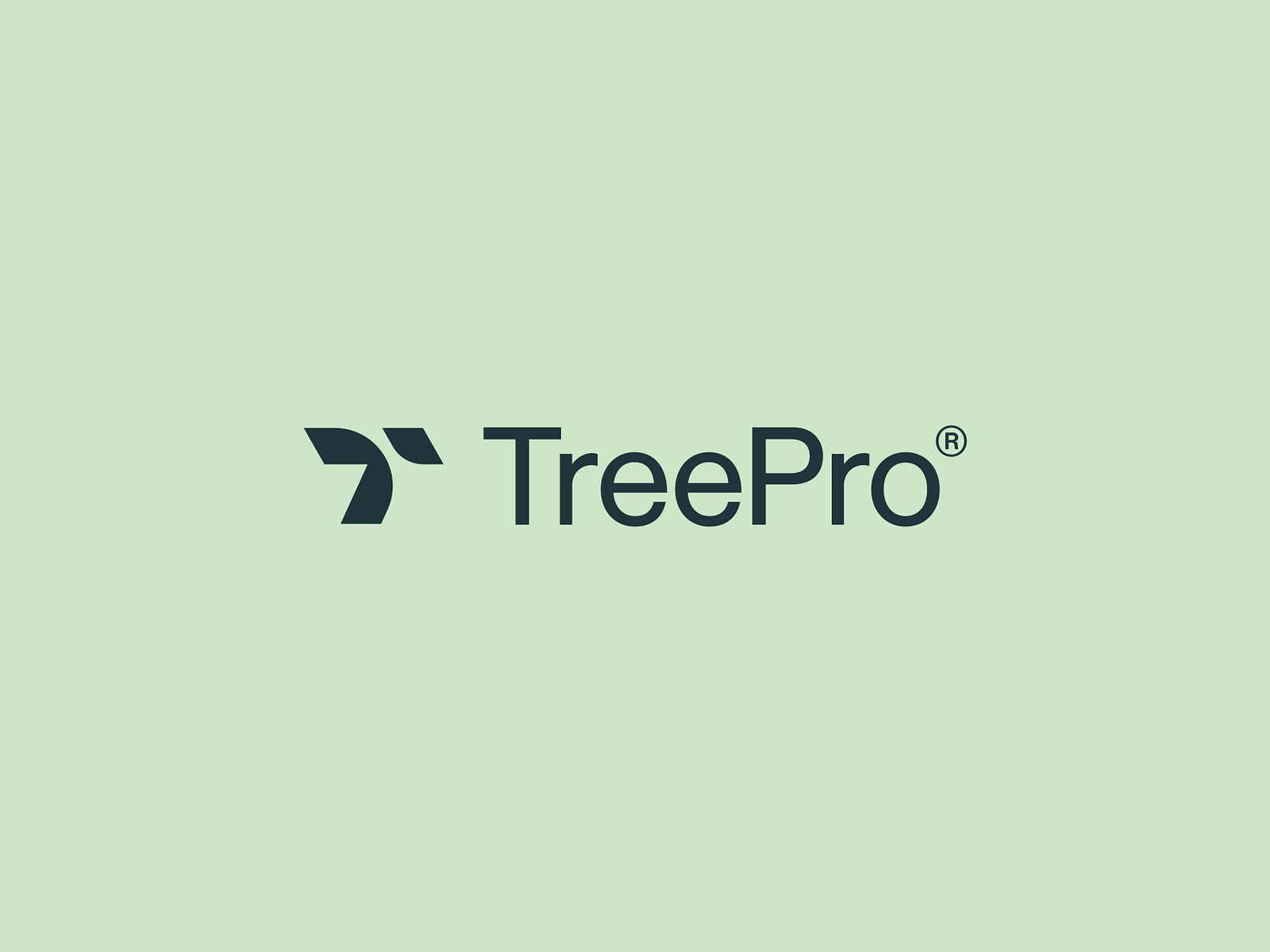 TreePro® Brand Identity by VASK®️ Studio on Dribbble