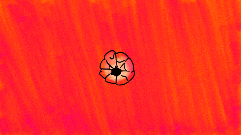 blooming animated animation flower gif illustration motion graphics