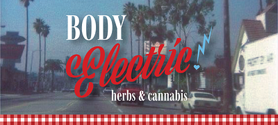 Body Electric! branding cannabis design graphic design illustration logo mockup packaging photoshop