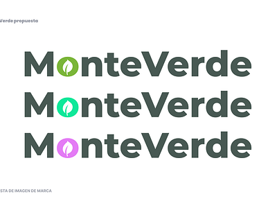 Monteverde 3d branding graphic design logo ui