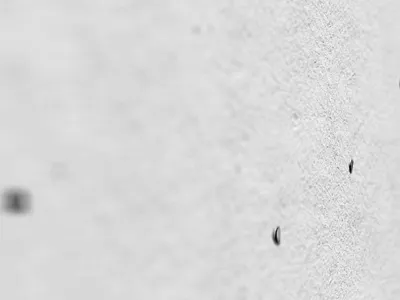 Dribbble Logo reveal | Ink reveal animated animated lettering animated logo animated signature animation dribbble logo logo animation logo reveal reveal signature animation