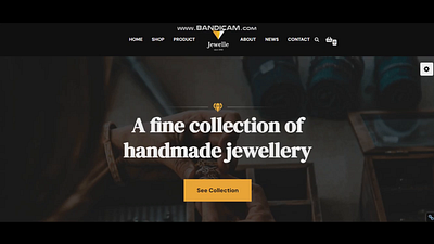 Jewellery Website Design Development web design