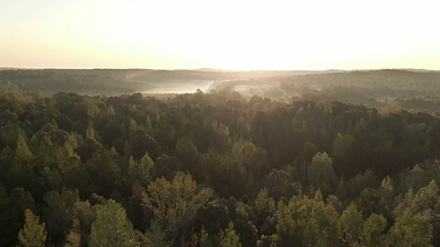 Montage (free stock footage) adobe premiere editing