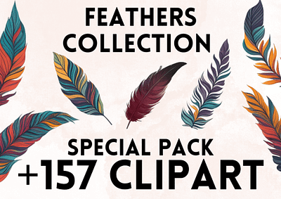 Feather Collection clipart feather feather clipart graphic design png svg