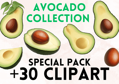 Avocado Clipart avocado avocado clipart clipart clipart png png svg