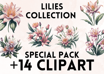 Lily Clipart clipart clipart png graphic design lily lily clipart lily png