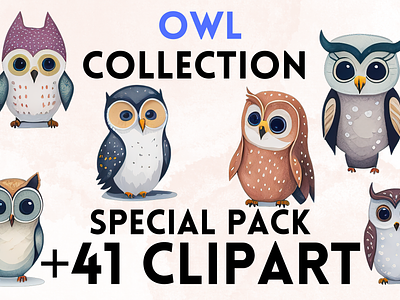 Owl Clipart clipart clipart png graphic design owl owl clipart png