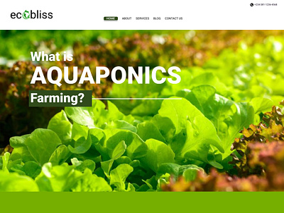 Ecobliss Aquaponics Startup Website Design 3d branding graphic design logo motion graphics ui