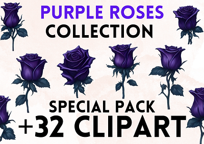 Purple Rose Clipart clipart clipart png graphic design purple rose rose rose clipart