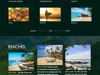 Tour to Sri Lanka - landing graphic design ui ux webdesign