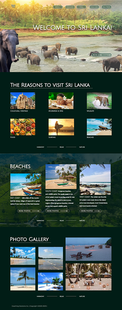 Tour to Sri Lanka - landing graphic design ui ux webdesign