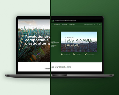 Sustainable Agave Company design web design