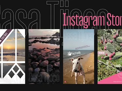 Instagram story/ Holiday home rental. atlantic branding figma graphic design holiday home rental instagram instagram story pet frendly social media post tenerife