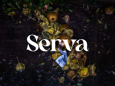 Serva - Recipe App Reducing Food Waste animation brand design branding figma food food waste logo meals motion graphics recipe social good ui