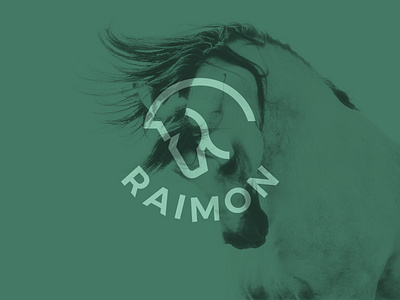 RAIMON horse nutritionist branding design graphic design horse logo identity illustration logo typography vector