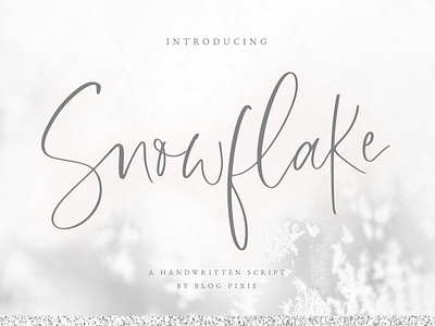 Script Font designs, themes, templates and downloadable graphic elements on  Dribbble