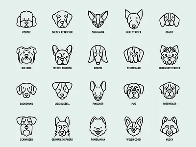 Dog Breeds | 20 Pixel Perfect & Editable Stroke Thin Line Icons bull terrier chihuahua design dog dog breeds dogs golden retriever graphic design icon icon set icons icons set line pixel perfect poodle set sign symbol thin thin line