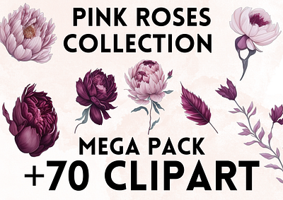 Pink Roses Clipart clipart clipart png flower flower clipart graphic design pink rose rose