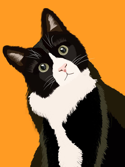 Cats art artist cats illustration