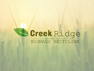 Nature Logo design.Recycline logo design logo logo design nature nature logo