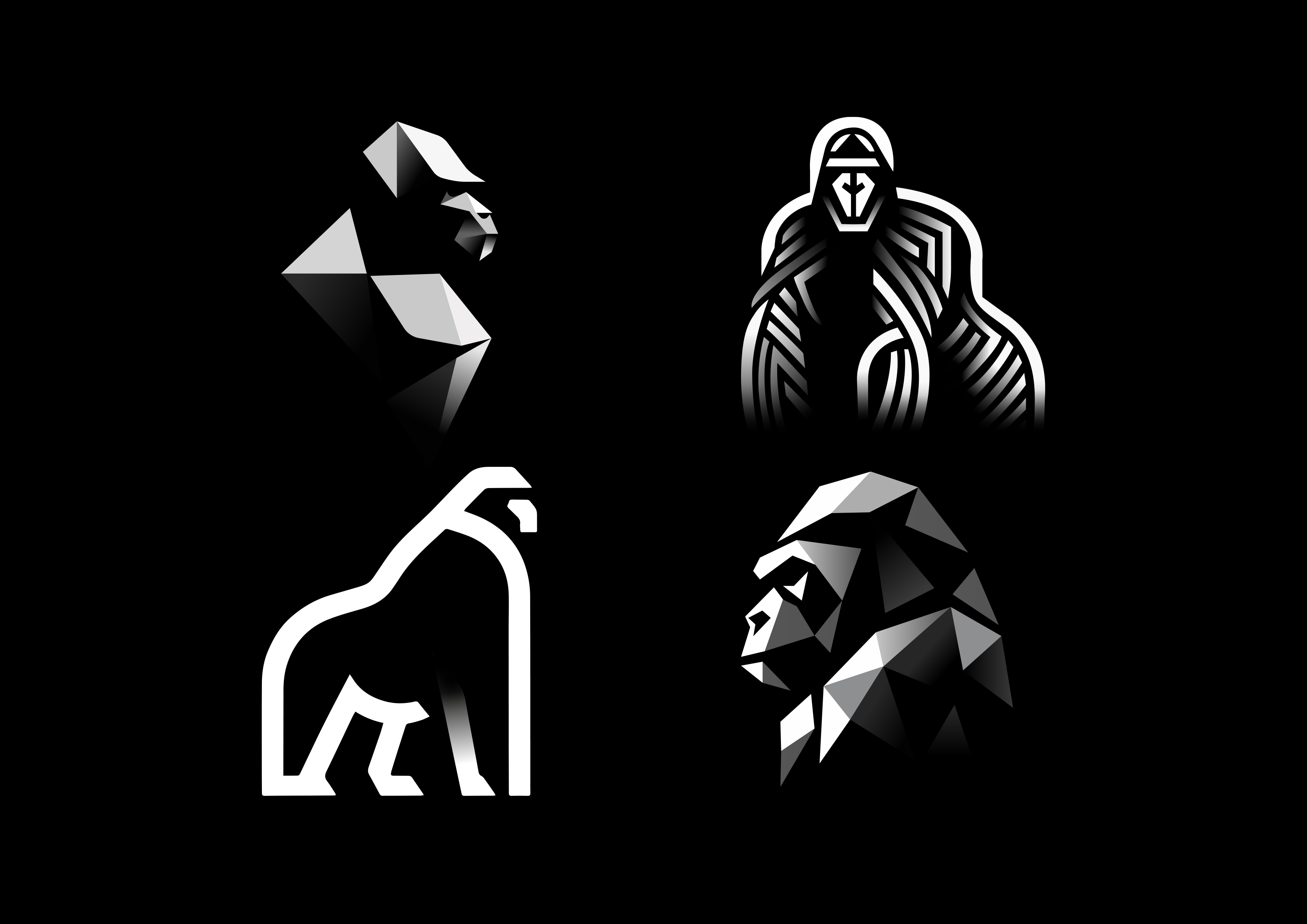 GORILLA 2024 By Matthieumartigny On Dribbble   Original 1c6dd8ca2872fcdf8fc6b2177a33ddf2 