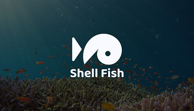 Shell Fish Brand Identity brand brand identity branding design fish graphic design logo logo design logo identity seafood shell