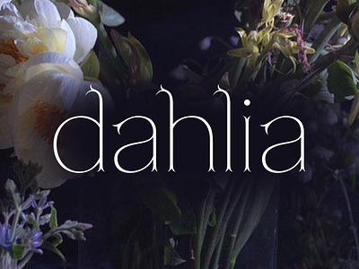 Dahlia logotype branding flowers logo logotype