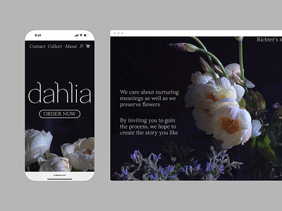 Dahlia website adaptive layout mobile web