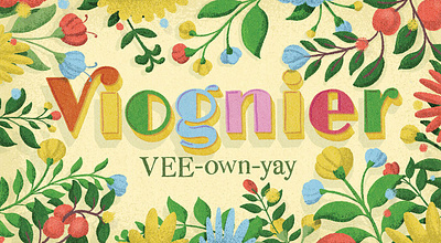 Grape on the Go - Viognier illustration lettering nevesman portugal type wine wine enthusiast