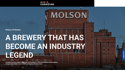 Design of the first screen of the Molson company for a corporate beer brend corporation figma ui ux uxui web design
