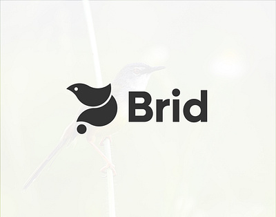 Brid Logo, Modern logo, Branding Design apps logo