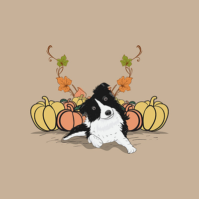 Fall Vibes! 🐶🍁 adorable animal art border collie character cute dog drawing fall halloween illustration laying pet pumpkin relaxing vector