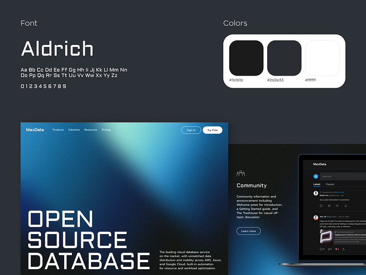 Website Design Concept by Ronas IT | UI/UX Team on Dribbble