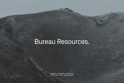 Bureau Resources — Visual Identity branding concept design logo startup typography ui visual identity web