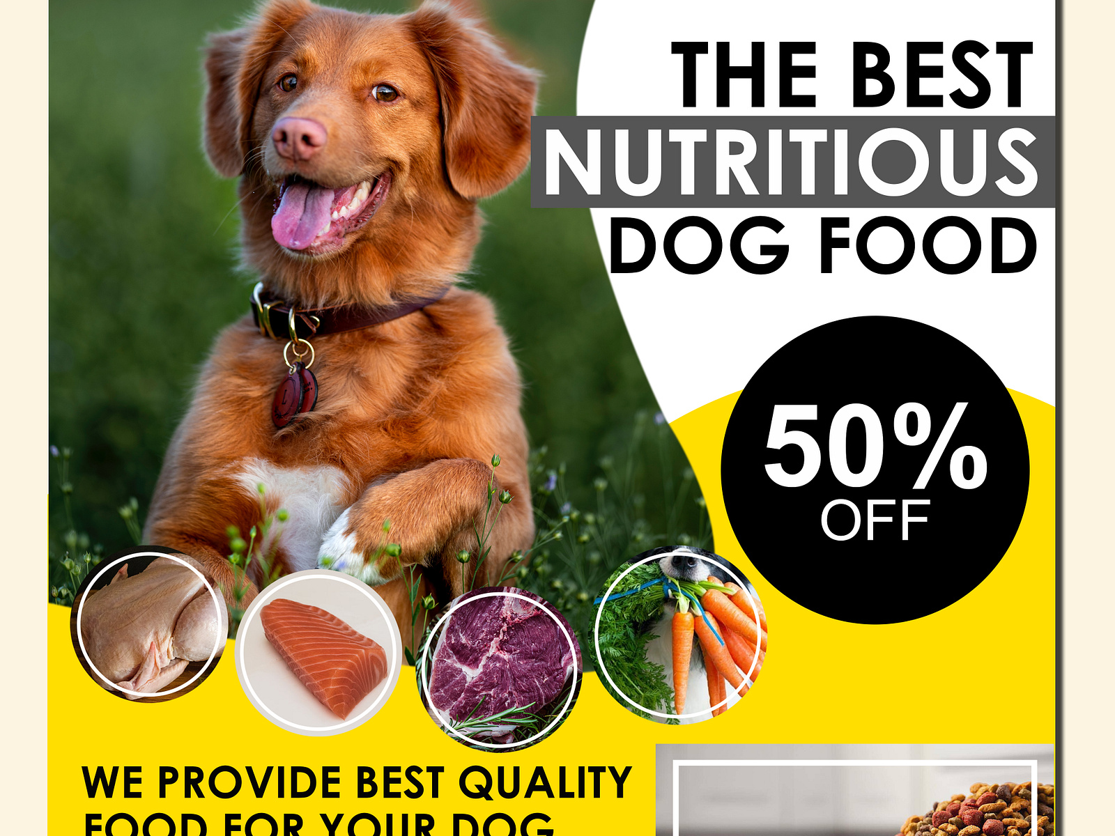 Dog Food Advertisement by Ailene May on Dribbble