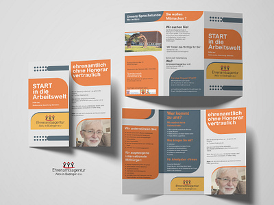 Brochure branding design graphic design ill illustration