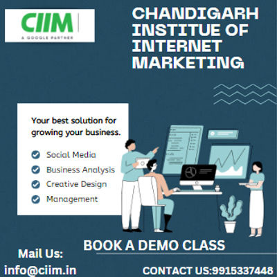 BEST DIGITAL MARKETING INSTITUTE IN CHANDIGARH digital market education graphic design seo training centre