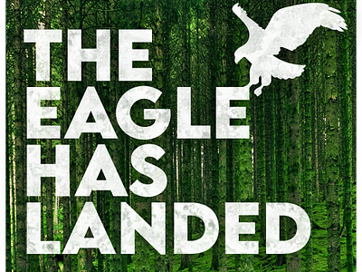 The Eagle Has Landed b2c ecommerce email graphic design illustrator photoshop typography