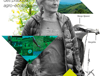 Affiches pour les 10 ans des prairies fleuries / PNR Ariège branding graphic design print