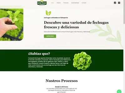 The Hydroponic Web Page Project: Doña Peque branding design logotype ui web