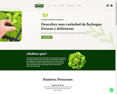 The Hydroponic Web Page Project: Doña Peque branding design logotype ui web