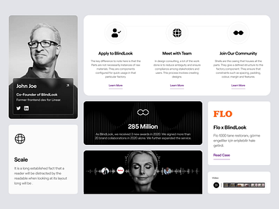 BlindLook: Website Details branding design graphic design landing page ui ux web website