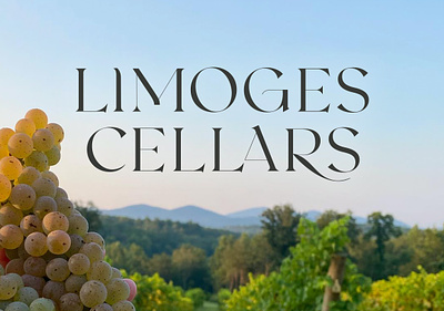 Limoges Cellars - Branding branding illustration logo winery