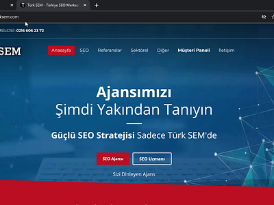 Türk SEM - SEO Agency Web Design graphic design seo ux web design