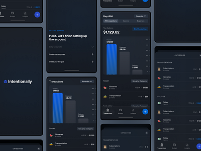 Finance Management App concept finance graphic design mobile app ui ux