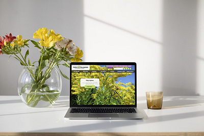 Non-Profit Website Designer native plants pollinators website design website designer