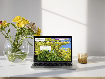 Non-Profit Website Designer native plants pollinators website design website designer