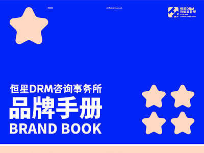 恒星DRM咨询事务所手册 branding graphic design logo