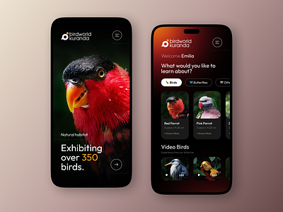 App Bird World 🦜 app design birds design ios kuranda minimalist parrot red ui ui design ux ux design