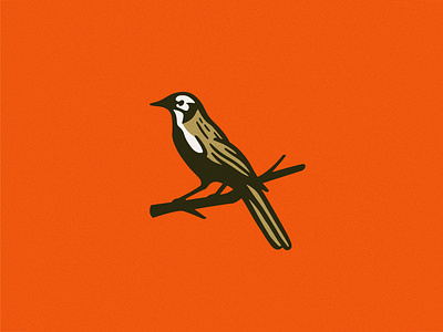 Vintage Bird Illustration badge bird branding design graphic design illustration logo matchbook illustration national park outdoor design outdoor industry vector vintage